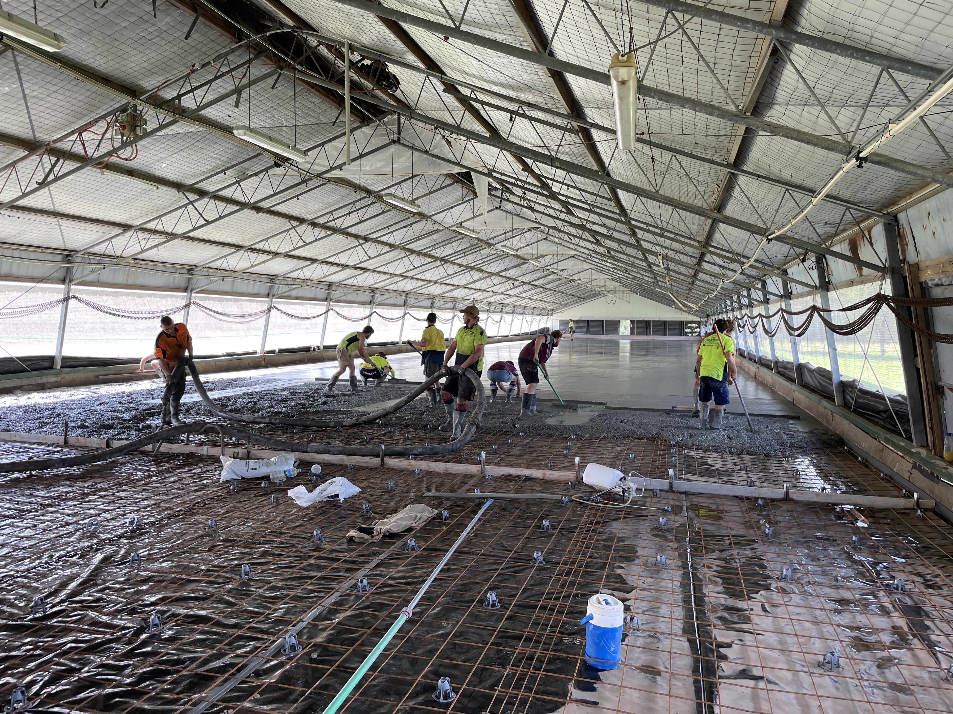 Poultry Shed in progress