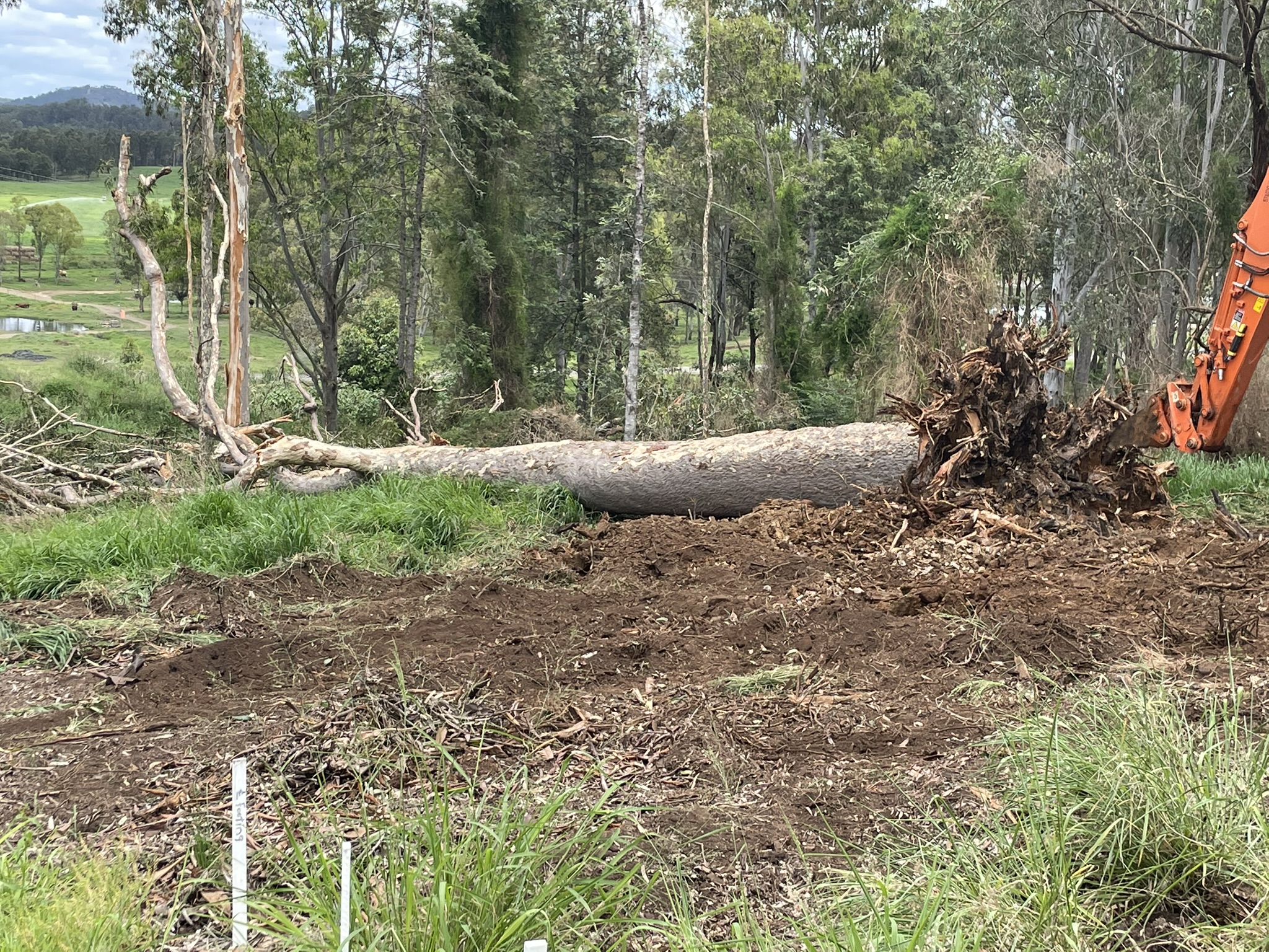 Quality Land Clearing